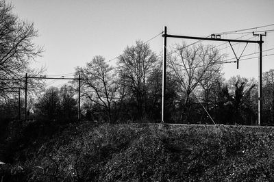 Trees against sky