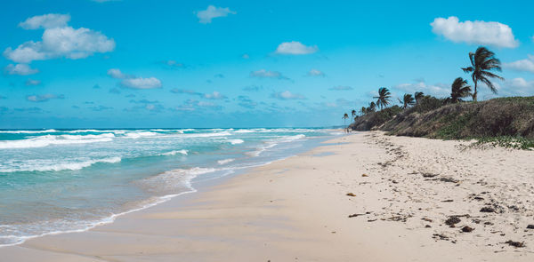 Scenic view of beach against blue sky