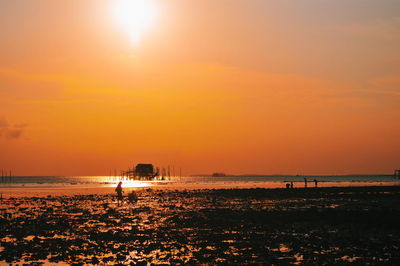 Scenic view of beach during sunset