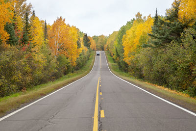 Empty road amidst trees against sky