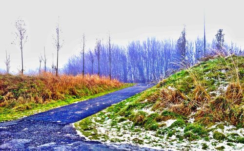 Road passing through field