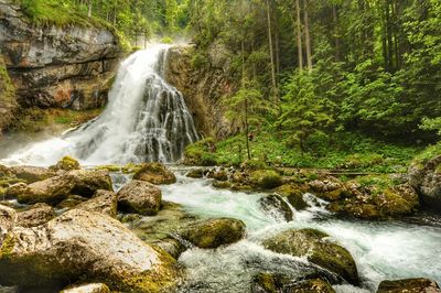 View of waterfall in forest
