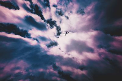 Low angle view of birds flying in sky