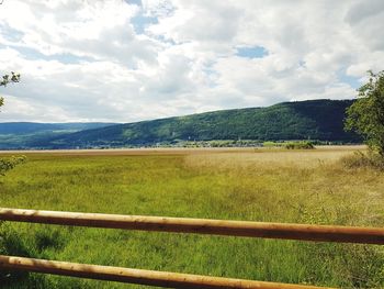 Scenic view of field against sky