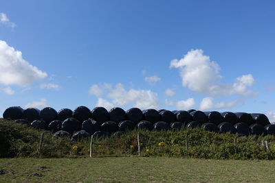 Wrapped hay barrels