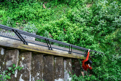 Rear view of woman standing on footbridge