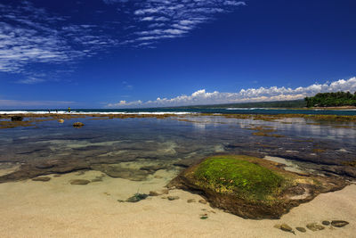 Scenic view of beach against blue sky