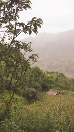 Scenic view of mountains against clear sky