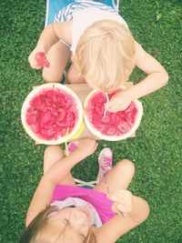 High angle view of girl holding fruits