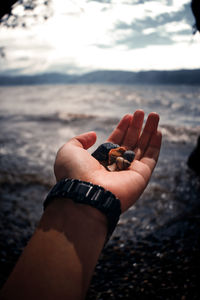 Close-up of hand holding shell on beach