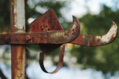 Close-up of rusty metal