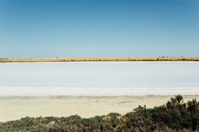 Scenic view of sea against clear blue sky