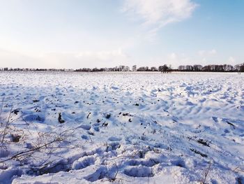 Scenic view of snow covered field against sky