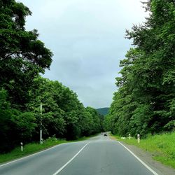 Road amidst trees against sky