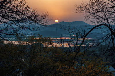 Bare trees by lake against sky during sunset