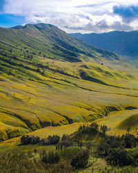 Scenic view of agricultural field against sky