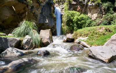 Scenic view of waterfall in forest