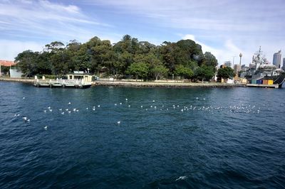 Boats in sea with city in background