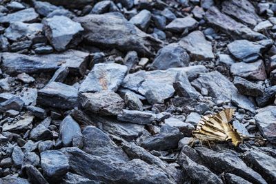 Full frame shot of rocks on field