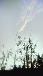 Low angle view of silhouette trees against sky at sunset