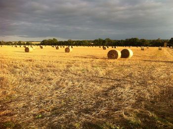 Hay bales on field against sky