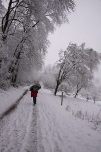 Rear view of person walking on snow covered land