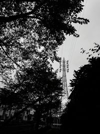 Low angle view of silhouette tree against sky