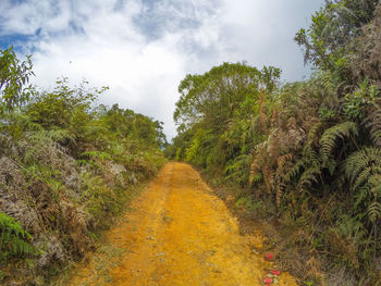 Trail amidst trees and plants against sky