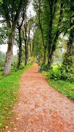 Dirt road amidst trees against sky