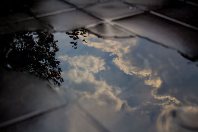 Reflection of clouds in water