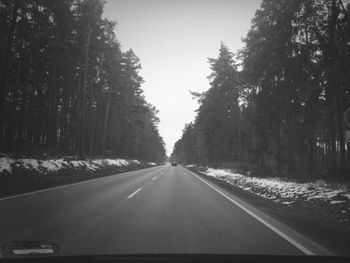 Road passing through forest