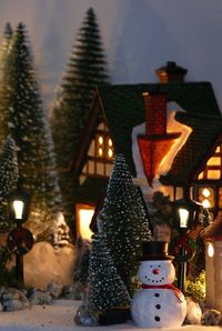 View of illuminated christmas tree in snow