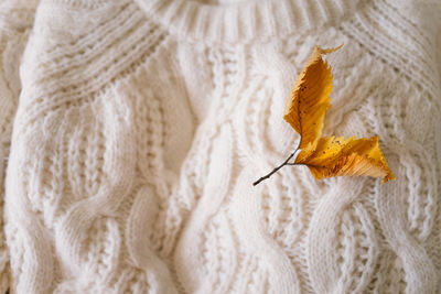 Background with warm sweaters. pile of knitted clothes with autumn leaves, warm background.