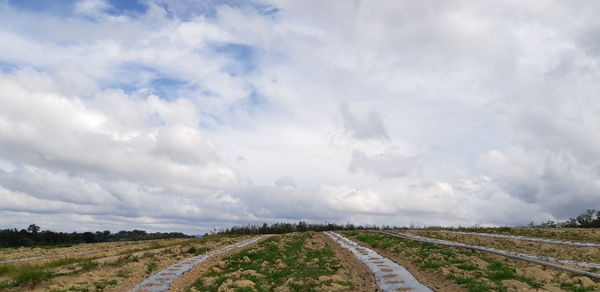 Road amidst field against sky