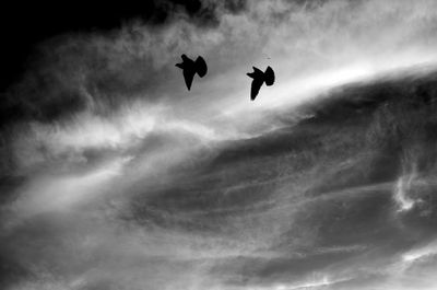 Low angle view of silhouette birds flying against sky