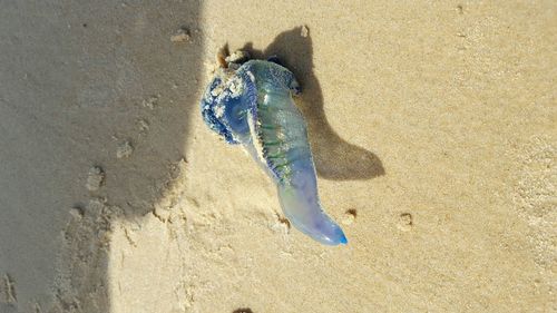 Shadow on sand at beach