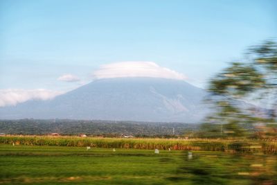 Scenic view of landscape against sky