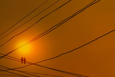 Silhouette a pair of birds perched on electricity power lines and facing talk with clear sky.