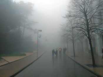 People walking on road in foggy weather
