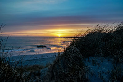 View of calm beach at sunset