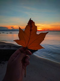 Person holding maple leaf against sky during sunset