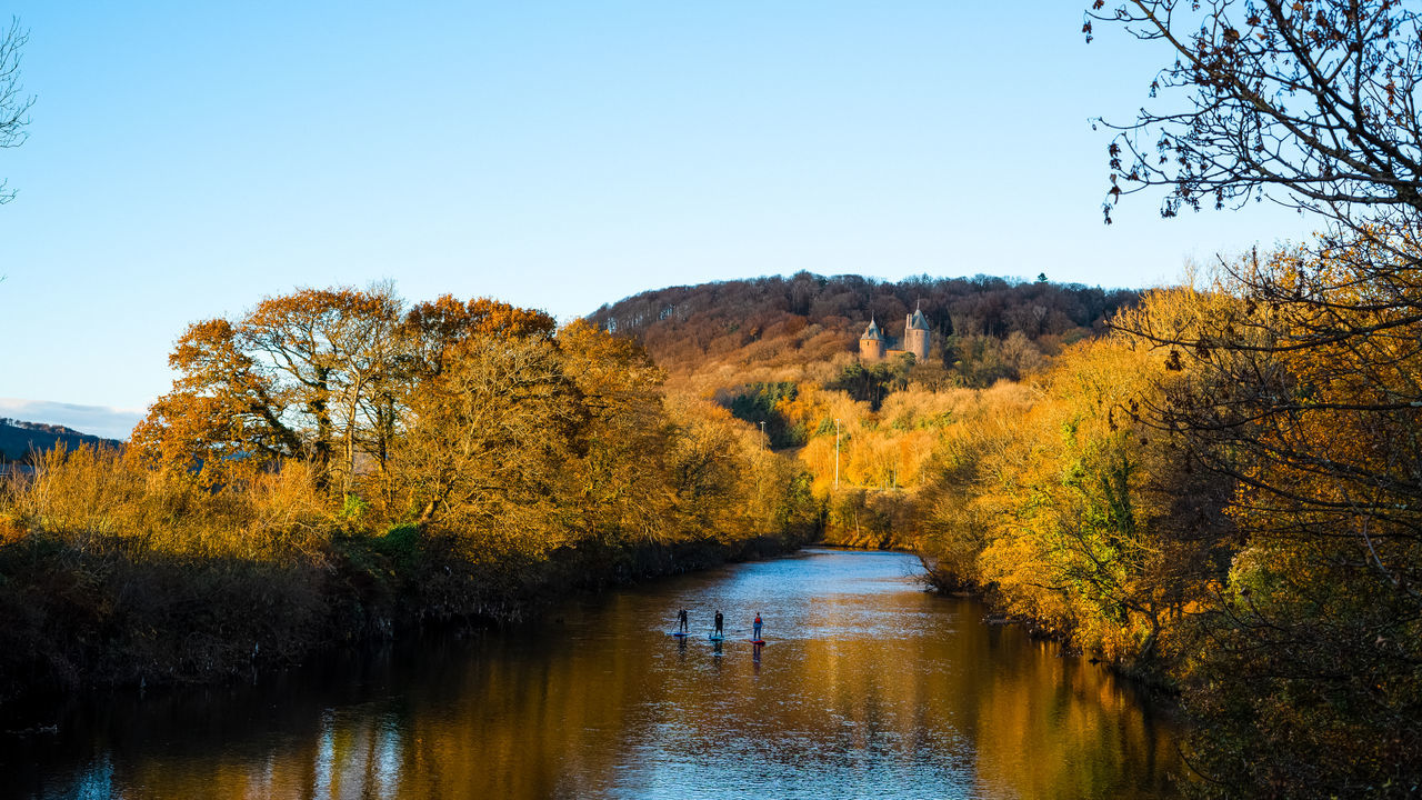 tree, autumn, reflection, water, plant, nature, beauty in nature, scenics - nature, river, leaf, sky, tranquility, tranquil scene, no people, environment, landscape, body of water, forest, land, clear sky, non-urban scene, day, outdoors, morning, idyllic, wilderness, mountain, blue, travel destinations, yellow, woodland, plant part