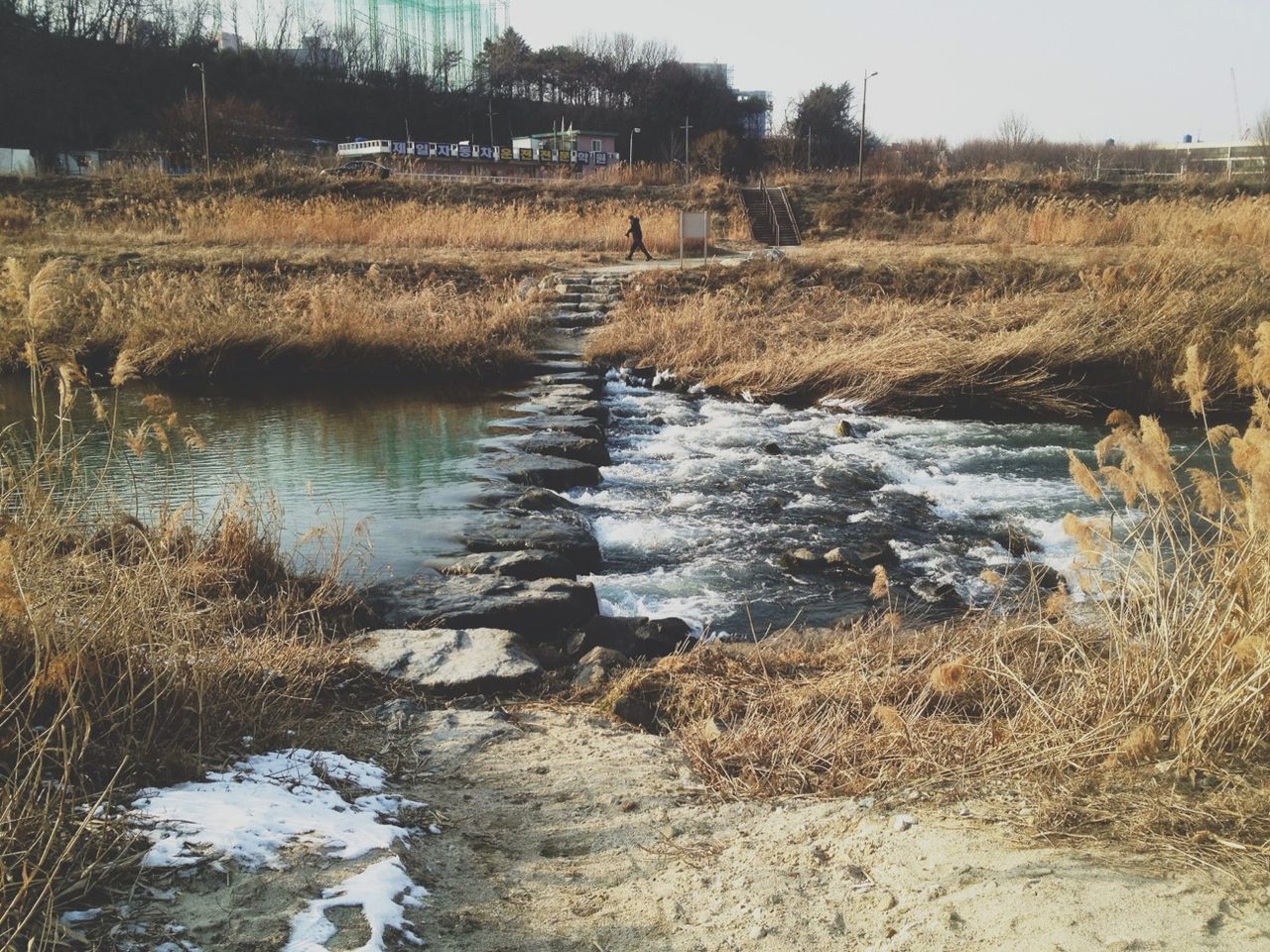 water, grass, plant, nature, river, tranquility, stream, tranquil scene, field, lake, reflection, beauty in nature, day, landscape, scenics, growth, outdoors, riverbank, non-urban scene, no people