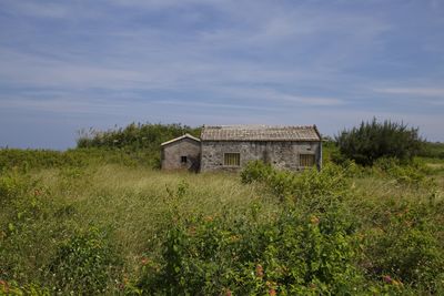 House on field against sky