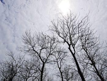 Low angle view of bare tree against sky