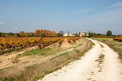 Road and fields in autumn