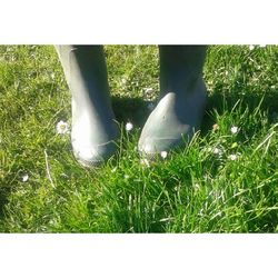 grass