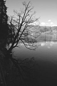 Bare tree by lake against sky