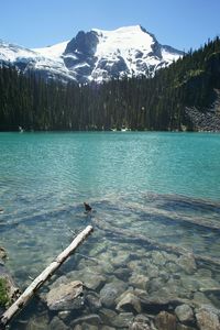 Scenic view of lake and mountains