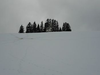 Pine trees on snow covered field against sky